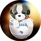 茶杯犬