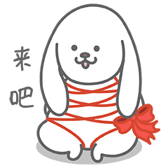 蛋白兔